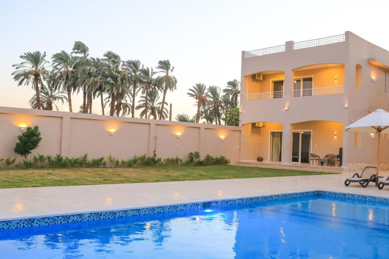 Royal Nile Villas - Pool View Apartment 2 ลักซอร์ ภายนอก รูปภาพ